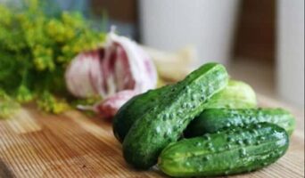 Хрустящие малосольные огурцы – простые и вкусные рецепты