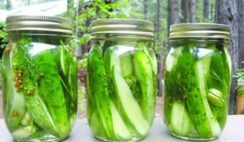 Хрустящие маринованные огурчики на зиму