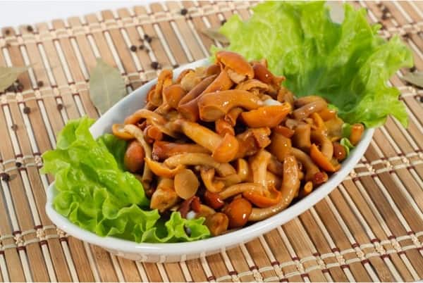 Маринованные грибы на зиму - рецепты простые и вкусные Маринованные опята на зиму