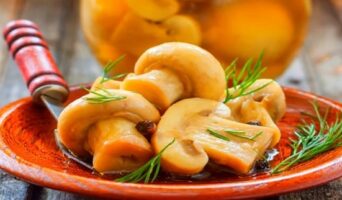 Маринованные грибы на зиму – рецепты простые и вкусные