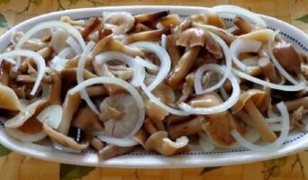 Маринованные опята: самые вкусные рецепты на зиму с фото
