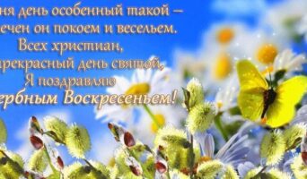 Вербное воскресенье 2025: открытки и картинки