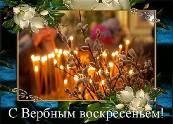 Открытки и картинки с Вербным воскресеньем 2025 картинки с Вербным воскресеньем