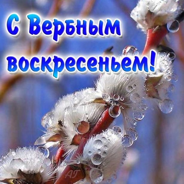 Открытки и картинки с Вербным воскресеньем 2025 картинки с вербным воскресеньем