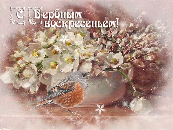 Открытки и картинки с Вербным воскресеньем 2025 картинки с вербным воскресеньем