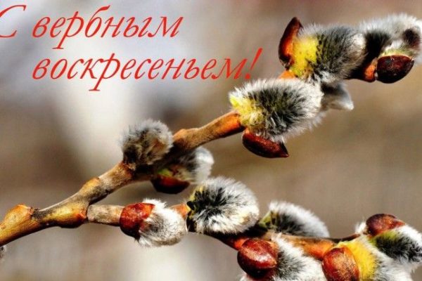Вербное воскресенье 2027: поздравления в стихах и прозе Вербное воскресенье