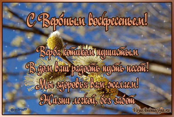 Открытки и картинки с Вербным воскресеньем 2025 картинки с вербным воскресеньем