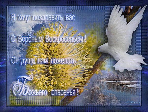 Открытки и картинки с Вербным воскресеньем 2025 Вербное воскресенье 2025: поздравления в картинках
