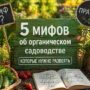 5 мифов об органическом садоводстве, которые стоит развеять
